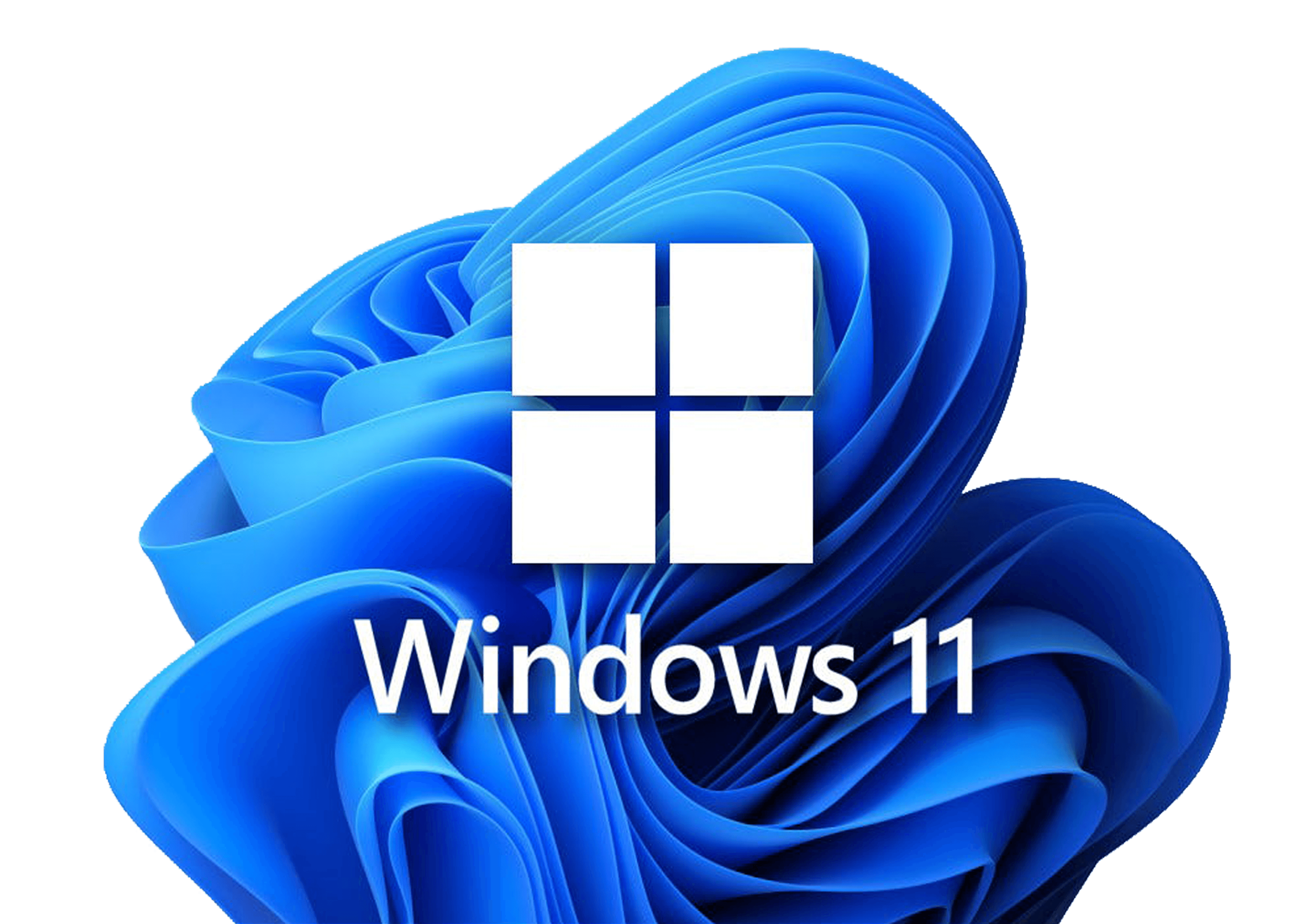 Software y antivirus